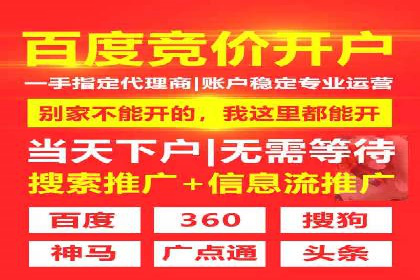 竞价代运营实战案例深度剖析
